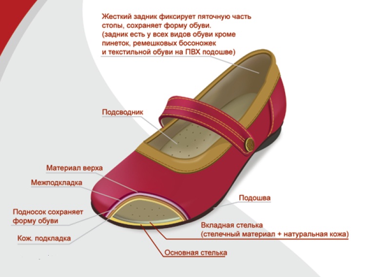 Подсводник в детской обуви что это картинка